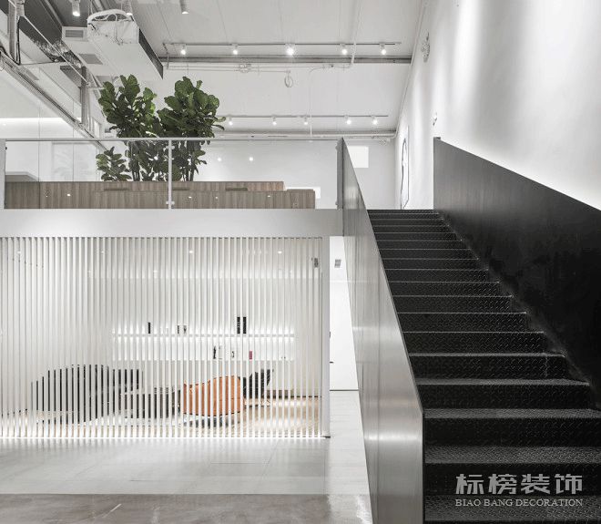 辦公室植物擺放植物有哪些，怎么擺放比較好？